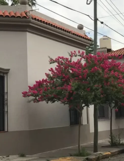 7 residencia bernardino rivadavia